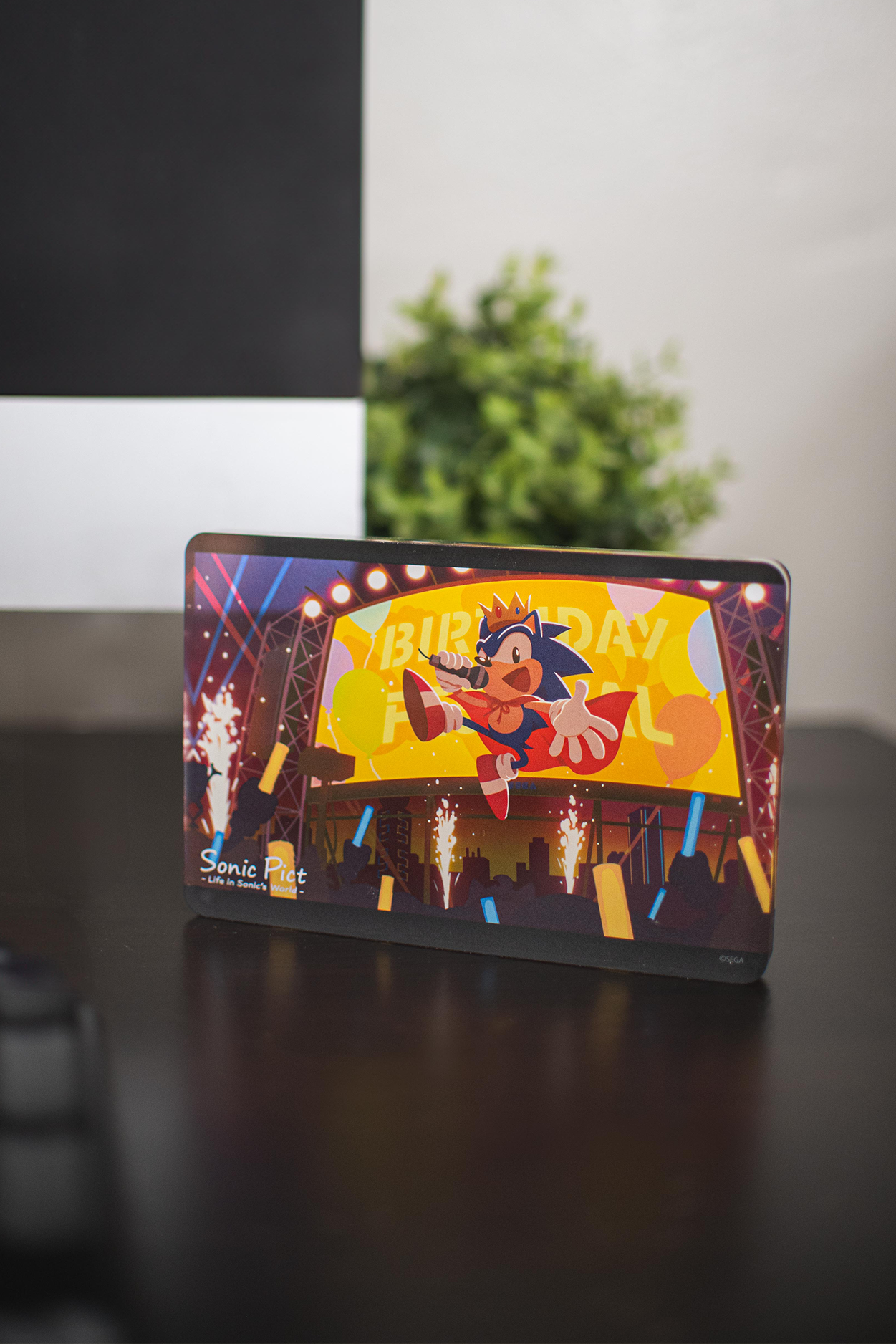 Sonic the Hedgehog: Acrylic Block Sonic