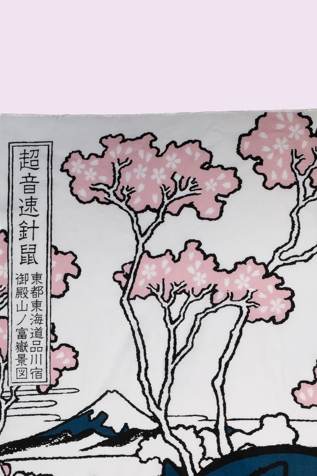 Sonic The Hedgehog: Gotenyama at Shinagawa Japanese Towel