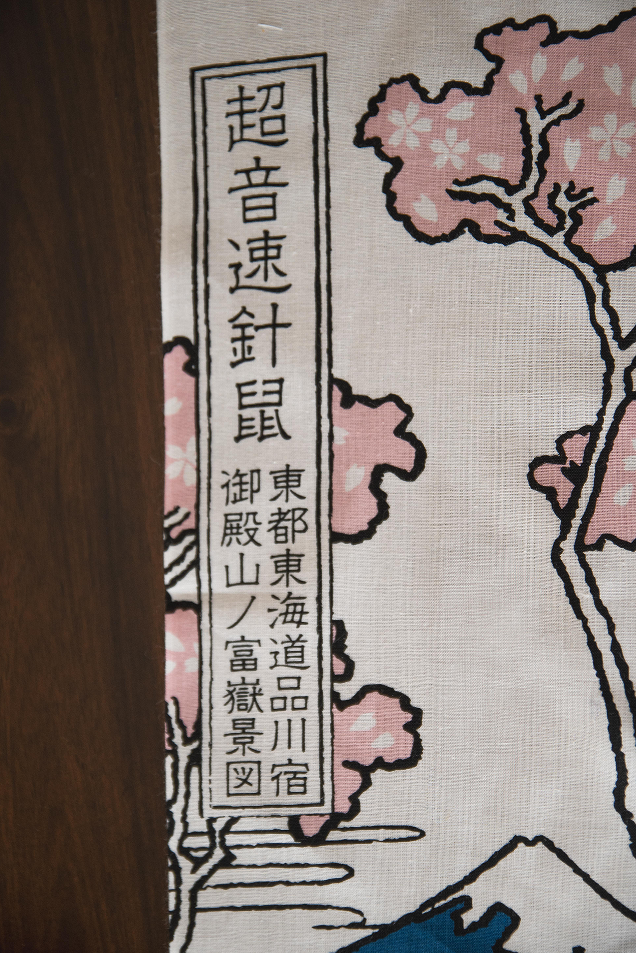 Sonic The Hedgehog: Gotenyama at Shinagawa Japanese Towel
