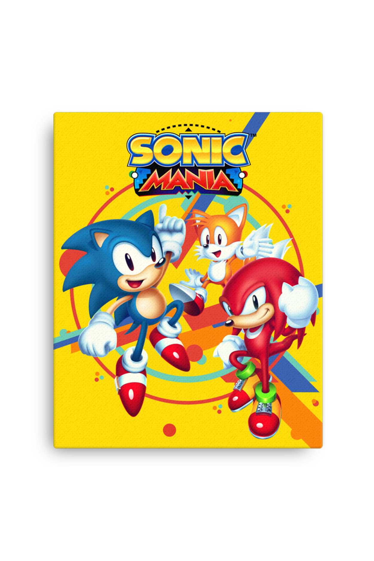 Sonic the Hedgehog: Sonic Mania Key Art Canvas Print