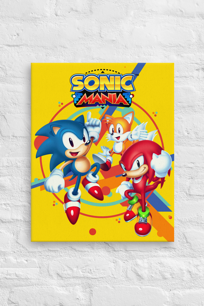 Sonic the Hedgehog: Sonic Mania Key Art Canvas Print