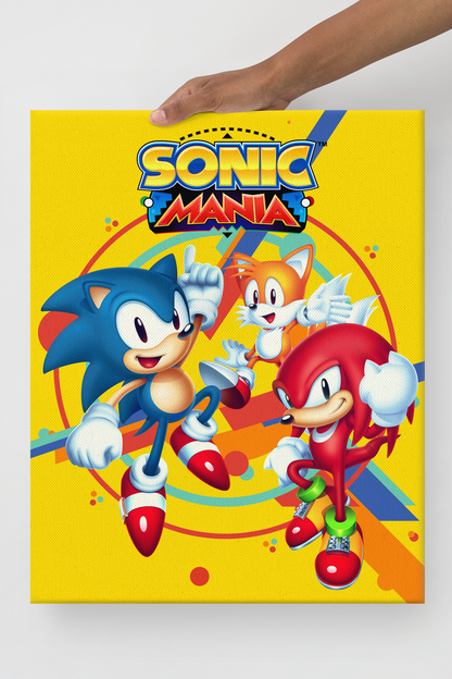 Sonic the Hedgehog: Sonic Mania Key Art Canvas Print