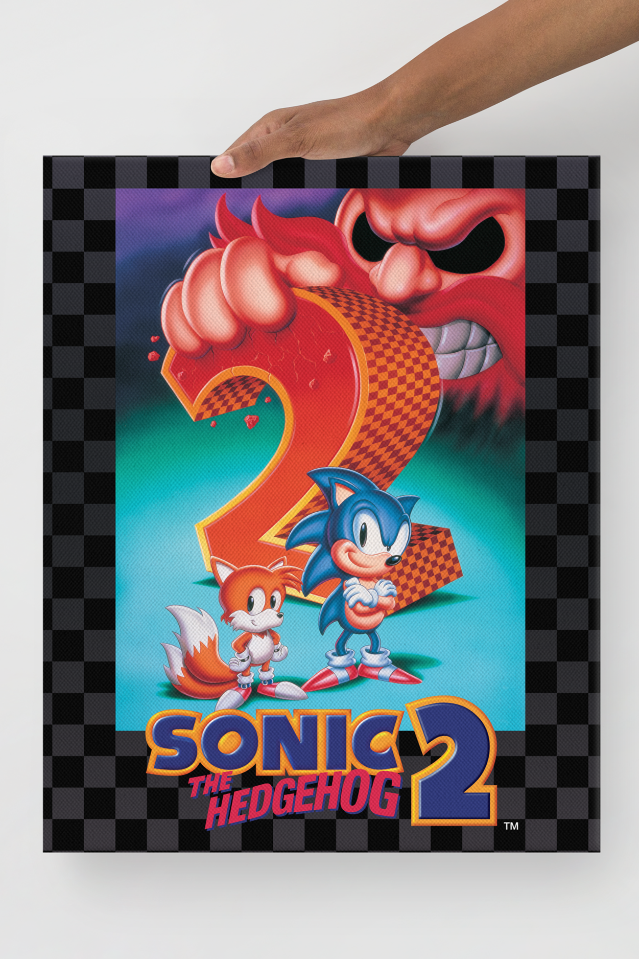 Sonic the Hedgehog 2: Key Art Canvas Print