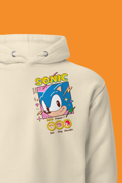 Sonic the Hedgehog: Sonic Picture Day Hoodie