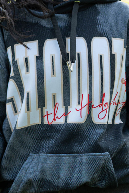 Sonic the Hedgehog: Back to Campus - Shadow Varsity Hoodie