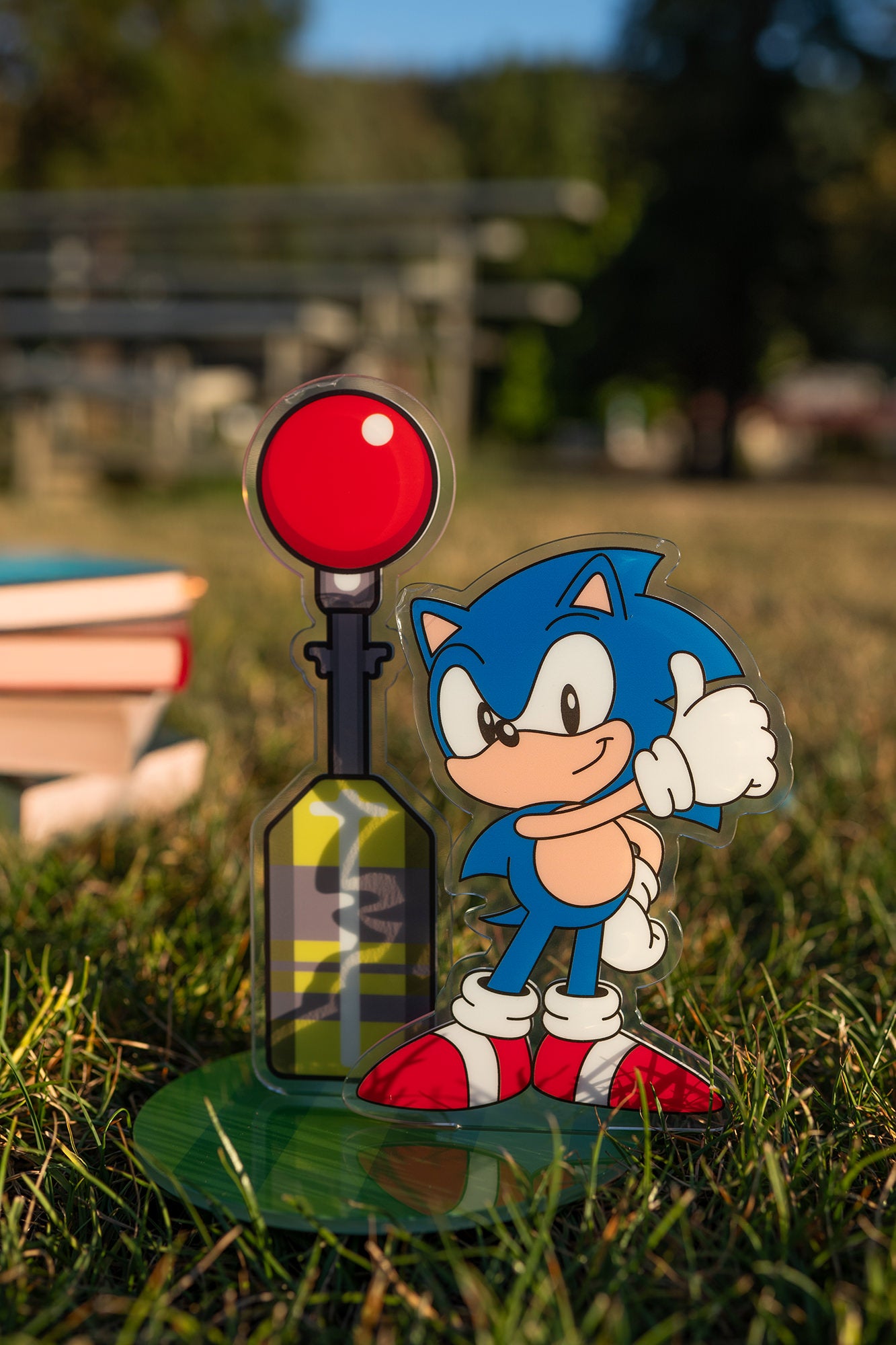 Sonic the Hedgehog: Lunch Box Bundle