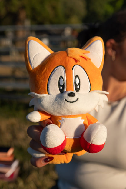 Sonic the Hedgehog: Lunch Box Bundle