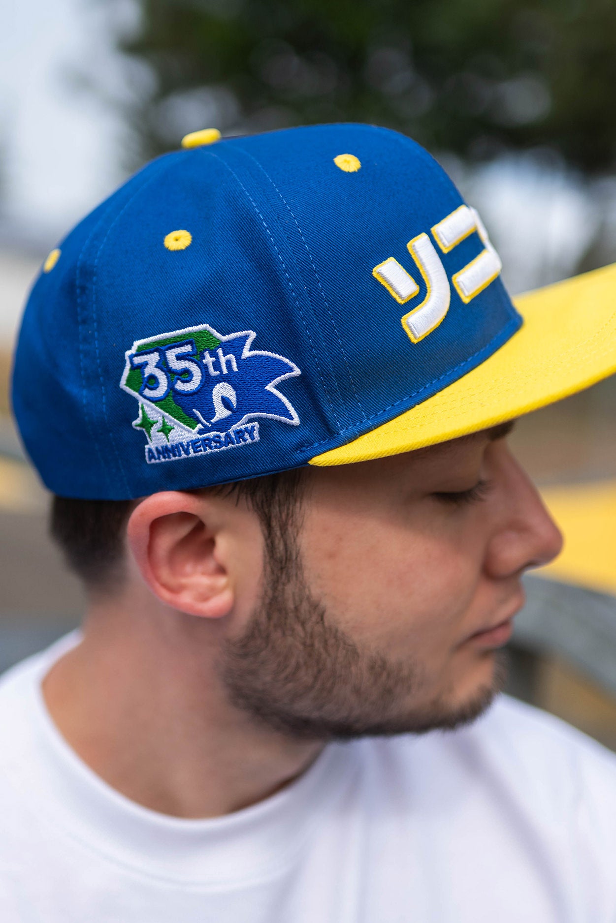 Sonic the Hedgehog: 35th Anniversary Snapback Hat