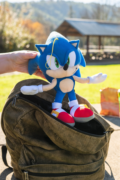 Sonic Posable Plush