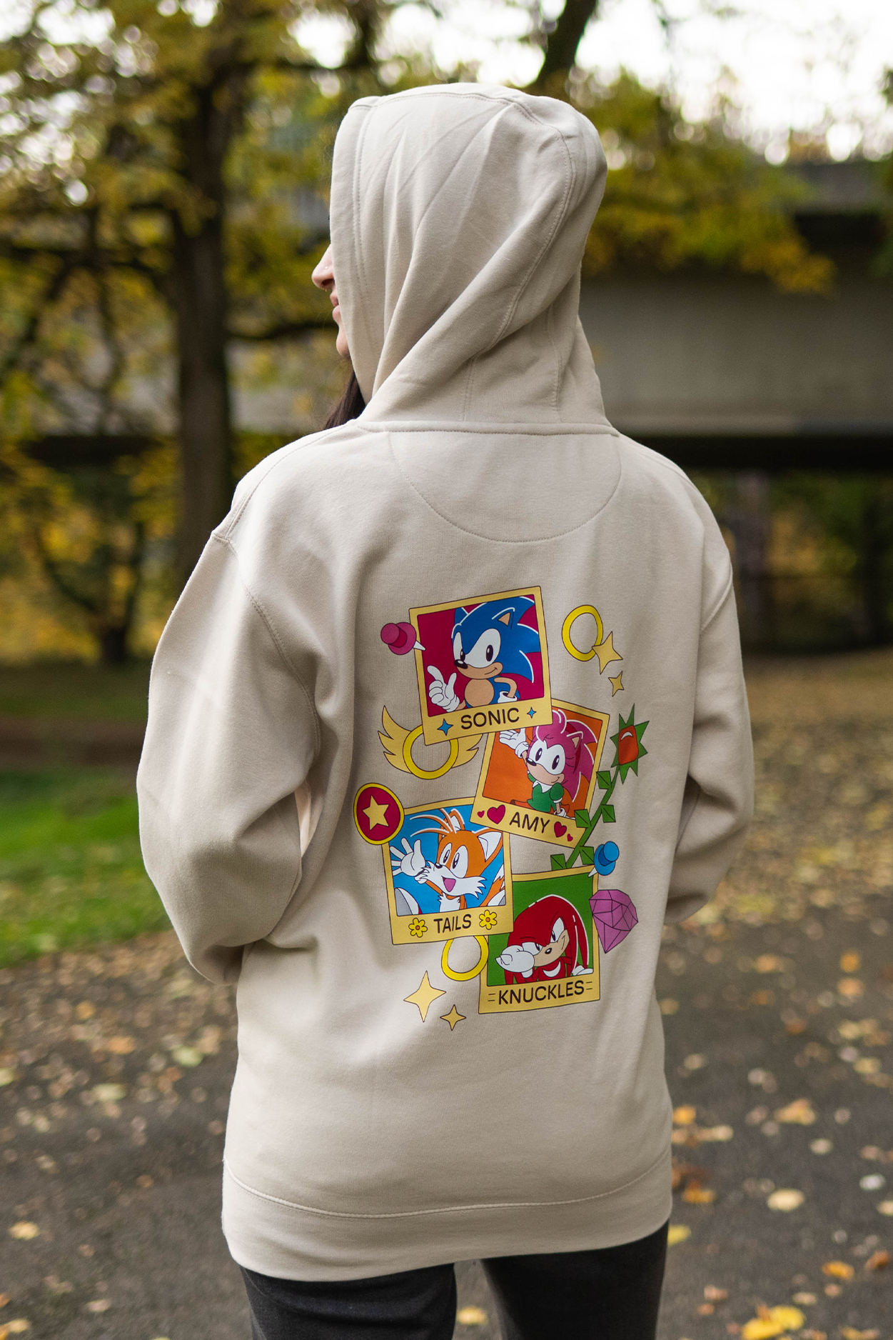 Sonic the Hedgehog: Sonic Picture Day Hoodie
