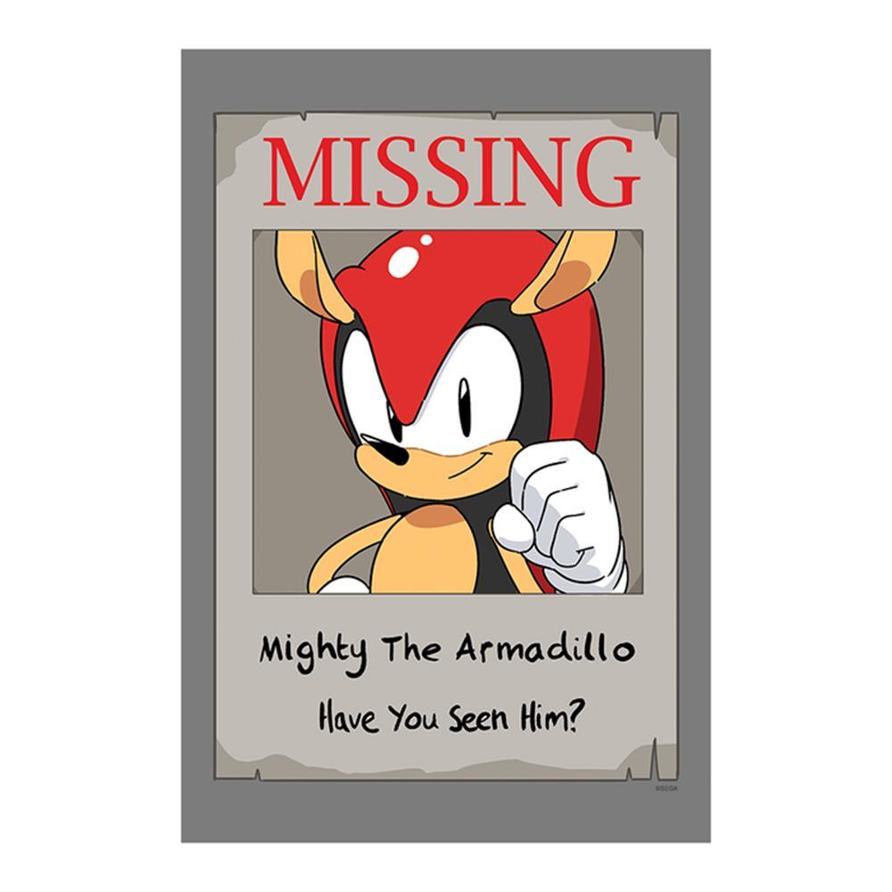 Exclusive Sonic Mania Adventures Missing Mighty Poster