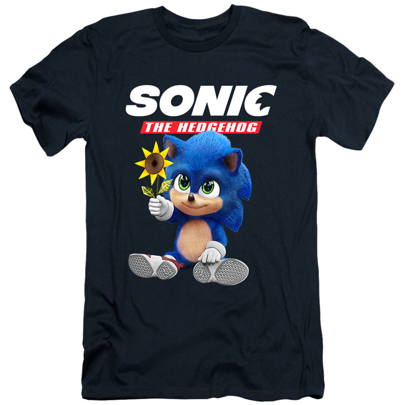 /images/sonic-the-hedgehog-sn