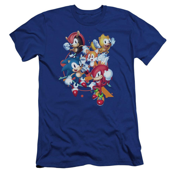 Sonic Mania Plus Character Navy Hoodie – Sega Shop